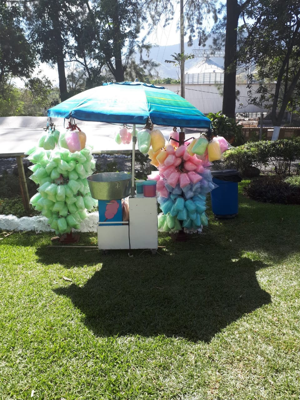 Algodones principales